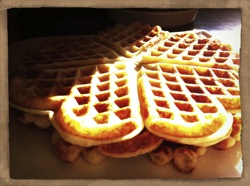 POWERSTAR FOOD Protein Vanille Waffeln mit SUPER HI PRO 128.JPG POWERSTAR FOOD Protein Vanille Waffeln mit SUPER HI PRO 128.JPG