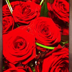 Valentinstag.JPG Valentinstag